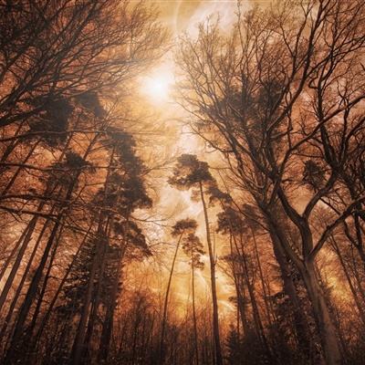 bat365官网登录入口app下载